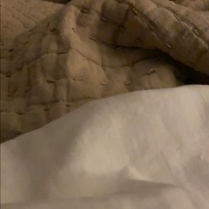 Meet your Posher, Lizzie